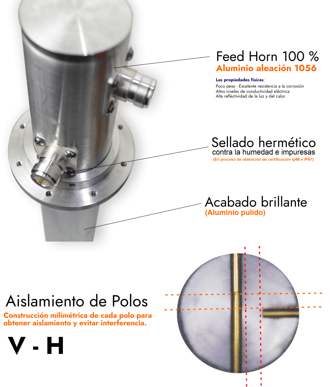 Feed horn / dipolo NetPoint