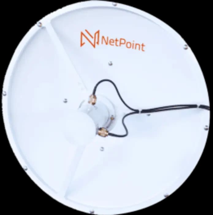 NP33