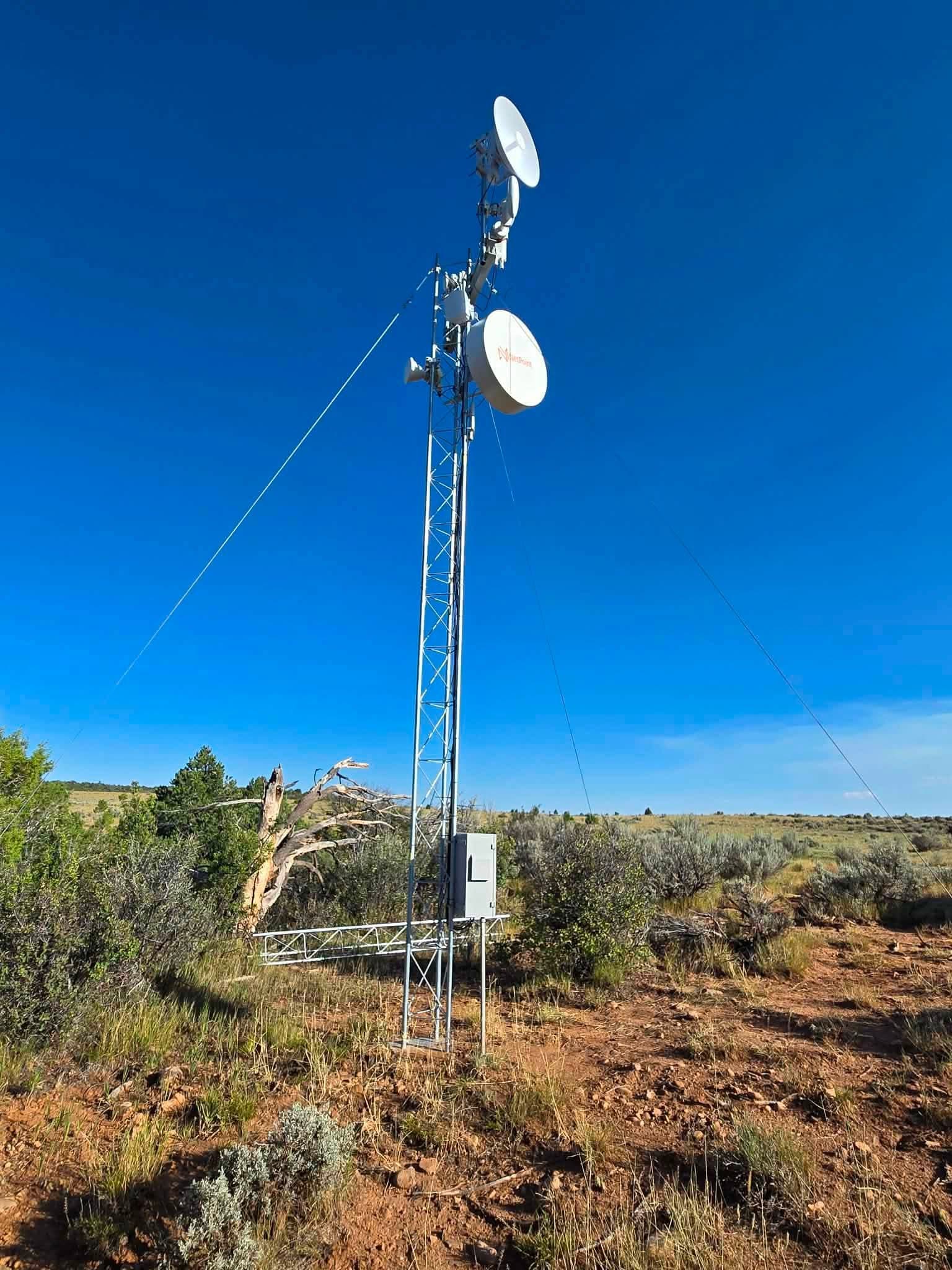 NetPoint MLO NP6W-DP-2FT in Colorado